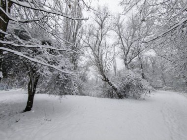 Bulgaristan 'ın Sofya kentindeki South Park' ın şaşırtıcı kış manzarası
