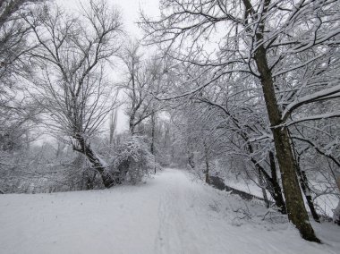 Bulgaristan 'ın Sofya kentindeki South Park' ın şaşırtıcı kış manzarası