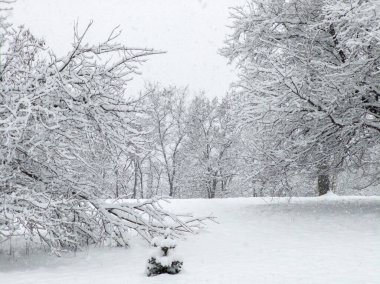 Bulgaristan 'ın Sofya kentindeki South Park' ın şaşırtıcı kış manzarası