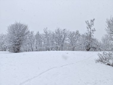 Bulgaristan 'ın Sofya kentindeki South Park' ın şaşırtıcı kış manzarası