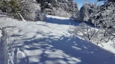 Bulgaristan 'ın Sofya Şehir Bölgesi, Vitosha Dağı' nın İnanılmaz Kış manzarası