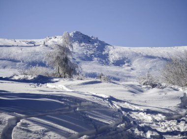 Bulgaristan 'ın Sofya Şehir Bölgesi, Vitosha Dağı' nın İnanılmaz Kış manzarası