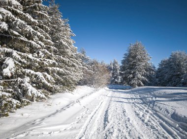 Bulgaristan 'ın Sofya Şehir Bölgesi, Vitosha Dağı' nın İnanılmaz Kış manzarası