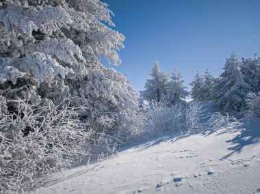 Bulgaristan 'ın Sofya Şehir Bölgesi, Vitosha Dağı' nın İnanılmaz Kış manzarası
