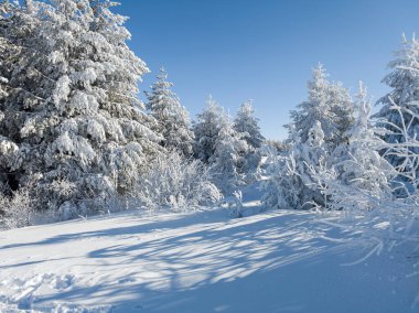 Bulgaristan 'ın Sofya Şehir Bölgesi, Vitosha Dağı' nın İnanılmaz Kış manzarası