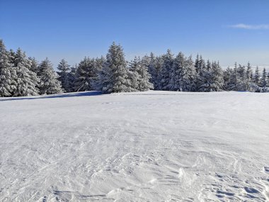 Bulgaristan 'ın Sofya Şehir Bölgesi, Vitosha Dağı' nın İnanılmaz Kış manzarası