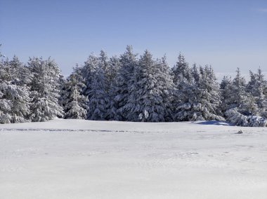 Bulgaristan 'ın Sofya Şehir Bölgesi, Vitosha Dağı' nın İnanılmaz Kış manzarası