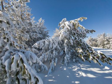 Bulgaristan 'ın Sofya Şehir Bölgesi, Vitosha Dağı' nın İnanılmaz Kış manzarası