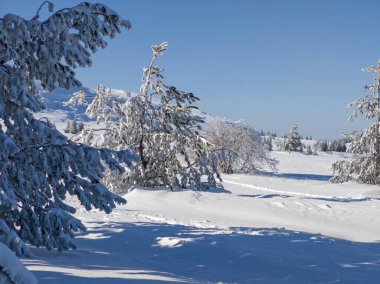 Bulgaristan 'ın Sofya Şehir Bölgesi, Vitosha Dağı' nın İnanılmaz Kış manzarası