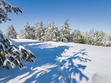 Bulgaristan 'ın Sofya Şehir Bölgesi, Vitosha Dağı' nın İnanılmaz Kış manzarası