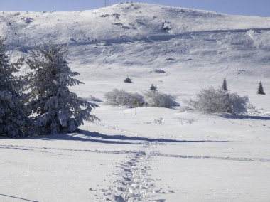 Bulgaristan 'ın Sofya Şehir Bölgesi, Vitosha Dağı' nın İnanılmaz Kış manzarası