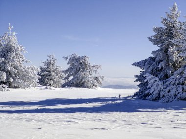 Bulgaristan 'ın Sofya Şehir Bölgesi, Vitosha Dağı' nın İnanılmaz Kış manzarası