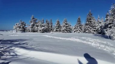 Bulgaristan 'ın Sofya Şehir Bölgesi, Vitosha Dağı' nın İnanılmaz Kış manzarası