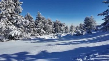 Bulgaristan 'ın Sofya Şehir Bölgesi, Vitosha Dağı' nın İnanılmaz Kış manzarası
