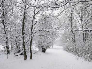 Bulgaristan 'ın Sofya kentindeki South Park' ın şaşırtıcı kış manzarası