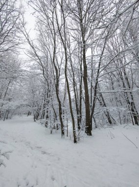 Bulgaristan 'ın Sofya kentindeki South Park' ın şaşırtıcı kış manzarası