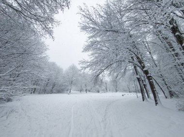 Bulgaristan 'ın Sofya kentindeki South Park' ın şaşırtıcı kış manzarası