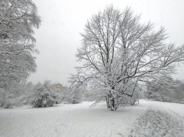 Bulgaristan 'ın Sofya kentindeki South Park' ın şaşırtıcı kış manzarası