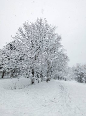 Bulgaristan 'ın Sofya kentindeki South Park' ın şaşırtıcı kış manzarası