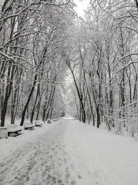 Bulgaristan 'ın Sofya kentindeki South Park' ın şaşırtıcı kış manzarası