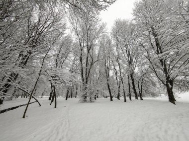 Bulgaristan 'ın Sofya kentindeki South Park' ın şaşırtıcı kış manzarası