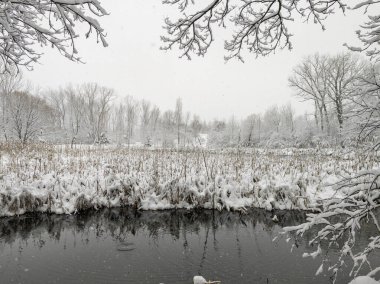 Bulgaristan 'ın Sofya kentindeki South Park' ın şaşırtıcı kış manzarası