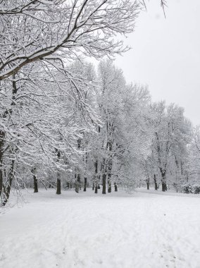 Bulgaristan 'ın Sofya kentindeki South Park' ın şaşırtıcı kış manzarası