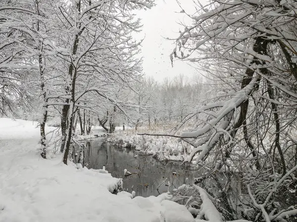 Bulgaristan 'ın Sofya kentindeki South Park' ın şaşırtıcı kış manzarası