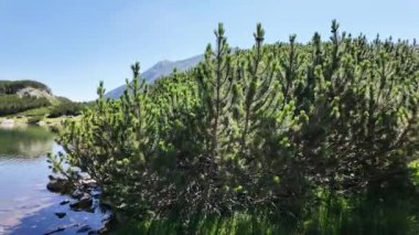 Bulgaristan 'ın Muratovo Gölü etrafındaki Pirin Dağı' nın şaşırtıcı yaz manzarası