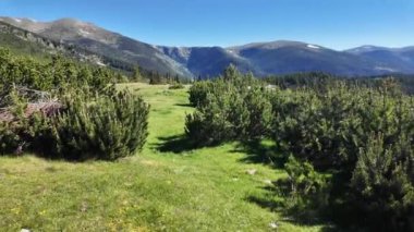 Bulgaristan 'ın Granchar Gölü yakınlarındaki Rila Dağı' nın İnanılmaz Yaz Manzarası