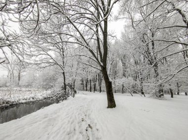 Bulgaristan 'ın Sofya kentindeki South Park' ın şaşırtıcı kış manzarası