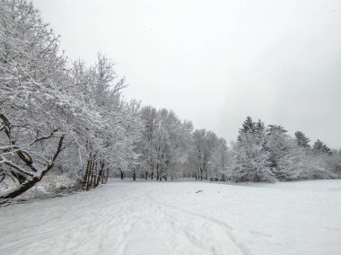 Bulgaristan 'ın Sofya kentindeki South Park' ın şaşırtıcı kış manzarası