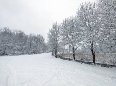 Bulgaristan 'ın Sofya kentindeki South Park' ın şaşırtıcı kış manzarası