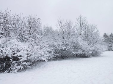 Bulgaristan 'ın Sofya kentindeki South Park' ın şaşırtıcı kış manzarası