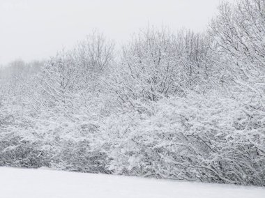 Bulgaristan 'ın Sofya kentindeki South Park' ın şaşırtıcı kış manzarası