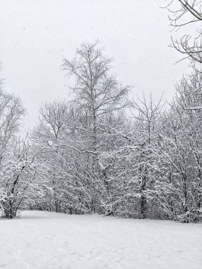 Bulgaristan 'ın Sofya kentindeki South Park' ın şaşırtıcı kış manzarası