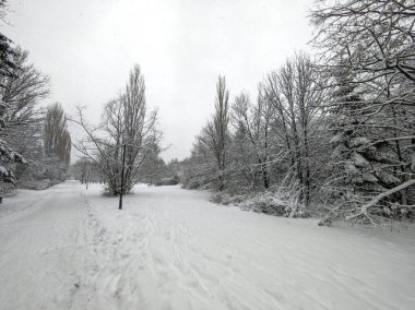 Bulgaristan 'ın Sofya kentindeki South Park' ın şaşırtıcı kış manzarası