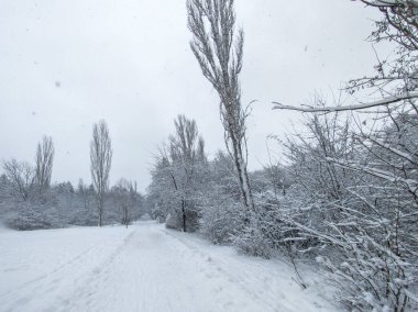 Bulgaristan 'ın Sofya kentindeki South Park' ın şaşırtıcı kış manzarası