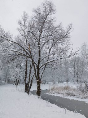 Bulgaristan 'ın Sofya kentindeki South Park' ın şaşırtıcı kış manzarası