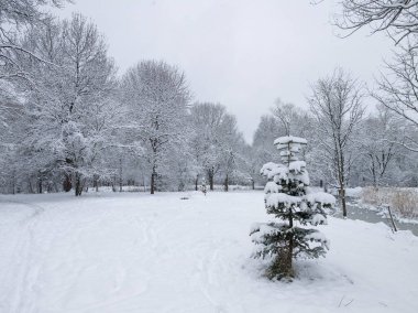 Bulgaristan 'ın Sofya kentindeki South Park' ın şaşırtıcı kış manzarası