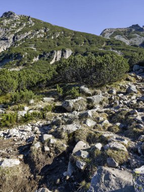 Amazing Autumn Landscape of Rila Mountain near Malyovitsa peak, Bulgaria