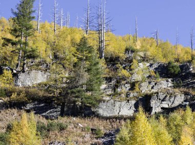 Amazing Autumn Landscape of Rila Mountain near Malyovitsa peak, Bulgaria clipart