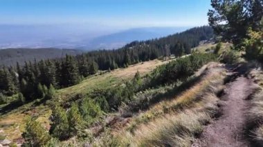 Bulgaristan 'ın Vitosha Dağı' nın şaşırtıcı sonbahar manzarası