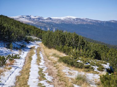 Amazing Autumn landscape of Rila Mountain near Mechit and Popova Kapa peaks, Bulgaria clipart