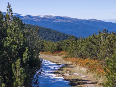 Amazing Autumn landscape of Rila Mountain near Mechit and Popova Kapa peaks, Bulgaria clipart