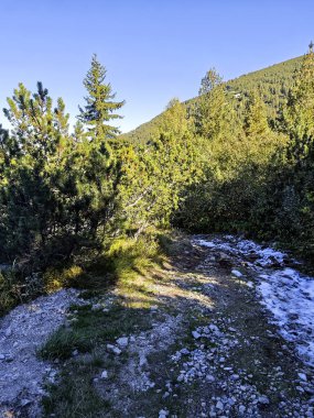 Rila Dağı 'nın Mechit yakınlarındaki muhteşem sonbahar manzarası ve Popova Kapa zirveleri, Bulgaristan