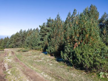 Rila Dağı 'nın Mechit yakınlarındaki muhteşem sonbahar manzarası ve Popova Kapa zirveleri, Bulgaristan
