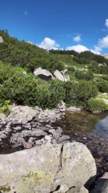 Bulgaristan 'ın Banderitsa Gölü çevresindeki Pirin Dağı' nın şaşırtıcı yaz manzarası