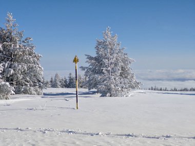 Bulgaristan 'ın Sofya Şehir Bölgesi, Vitosha Dağı' nın İnanılmaz Kış manzarası