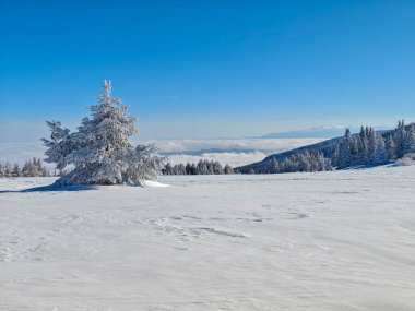 Bulgaristan 'ın Sofya Şehir Bölgesi, Vitosha Dağı' nın İnanılmaz Kış manzarası